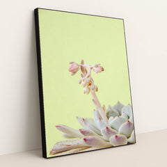 7090217713699 - Product Image