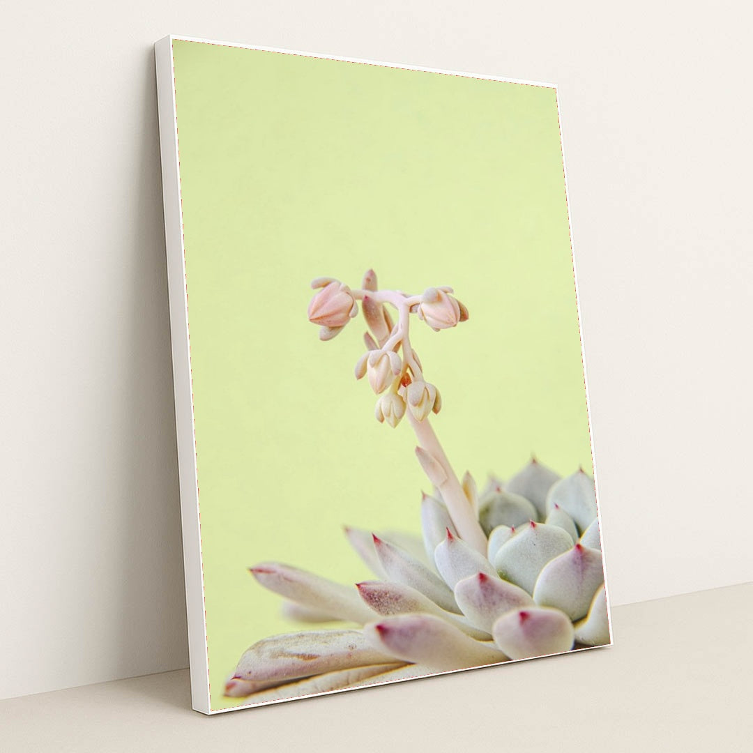 7090217713699 - Product Image