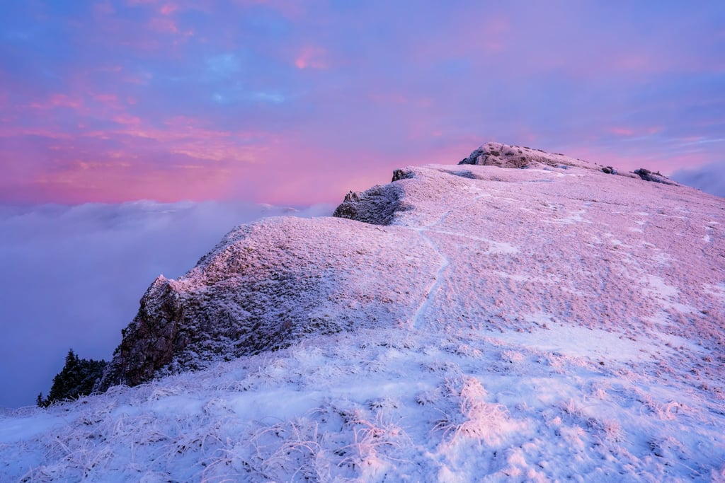 Summit Above the Clouds by Daniel Mirlea