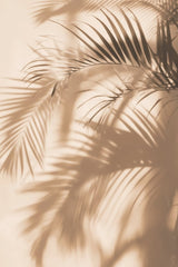 Sun-Kissed Fronds by Jade Morgan