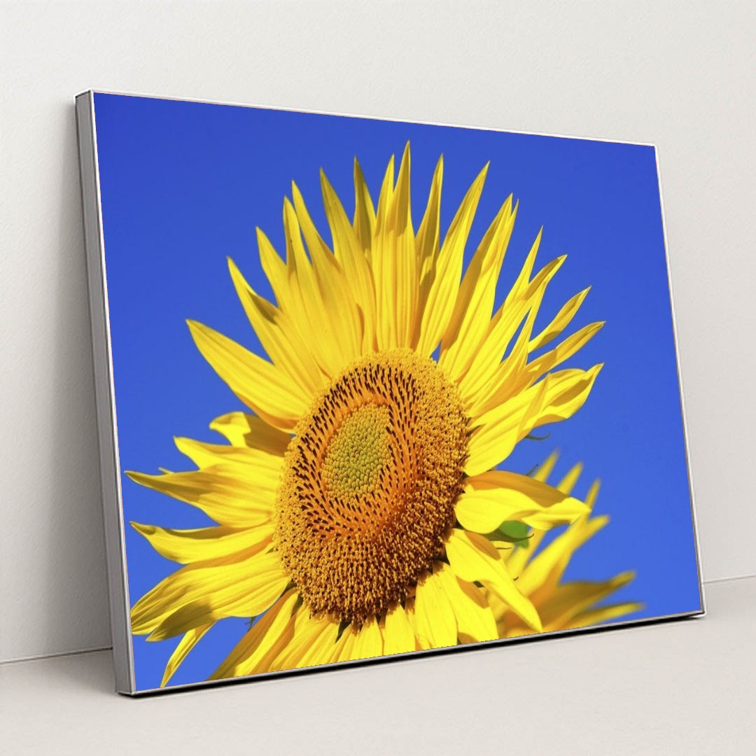 7090259492899 - Product Image