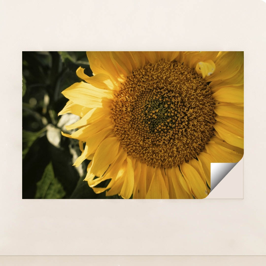 7090297700387 - Product Image