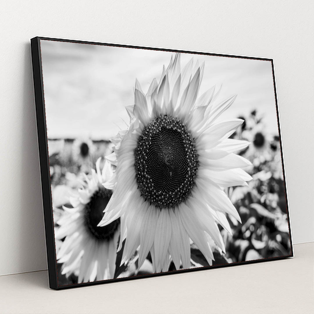 7090217812003 - Product Image