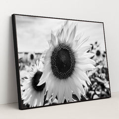 7090217812003 - Product Image