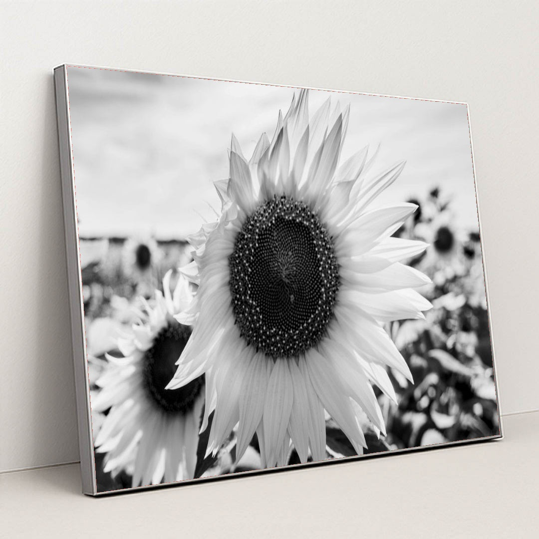 7090217812003 - Product Image