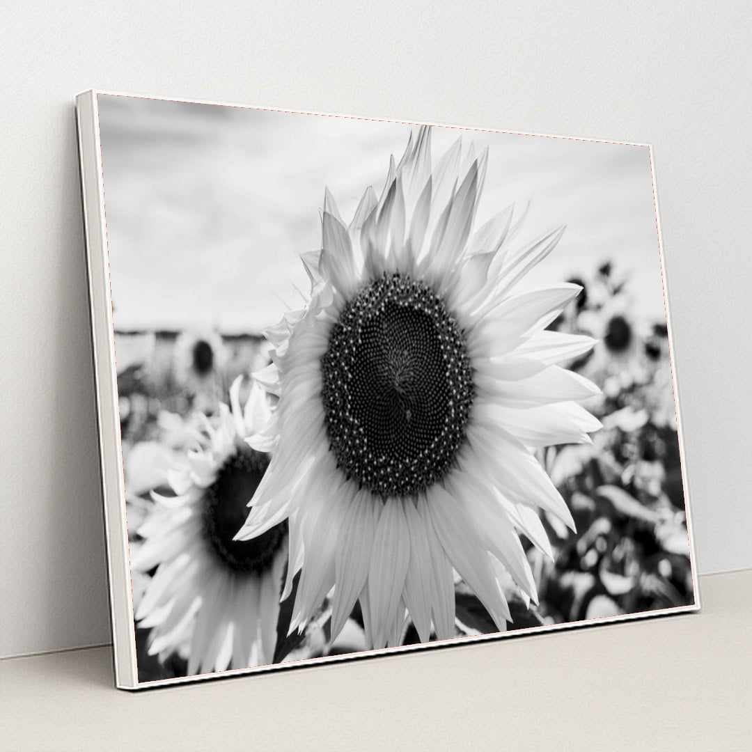 7090217812003 - Product Image