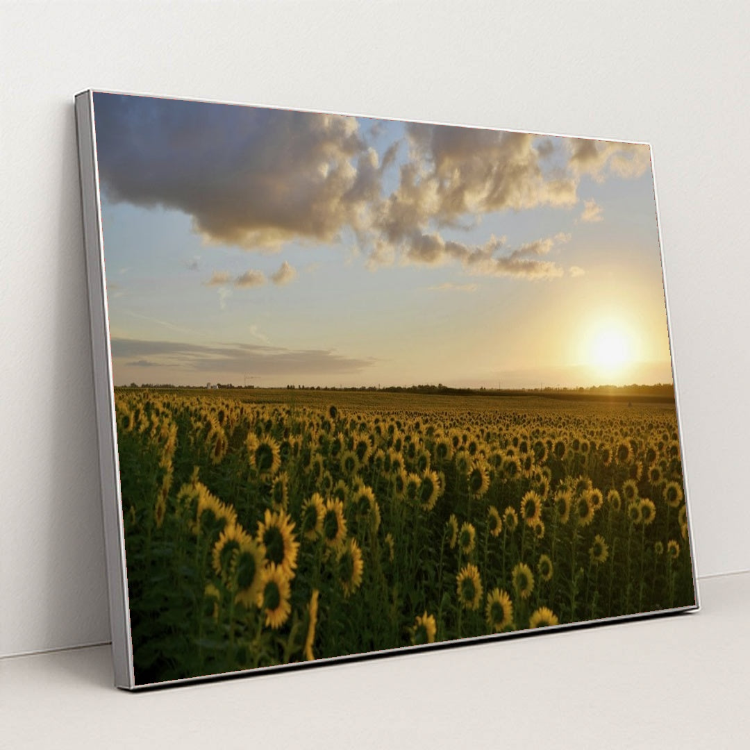 7090290163747 - Product Image