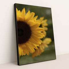 7090254577699 - Product Image