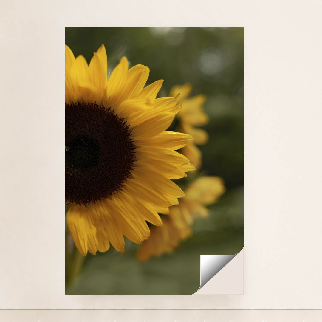 7090254577699 - Product Image