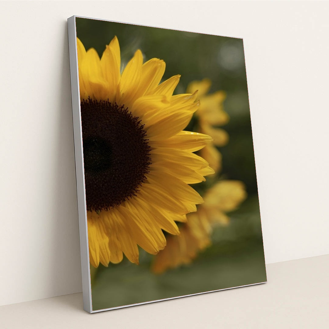 7090254577699 - Product Image