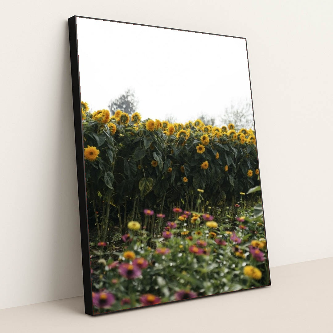 7090334826531 - Product Image