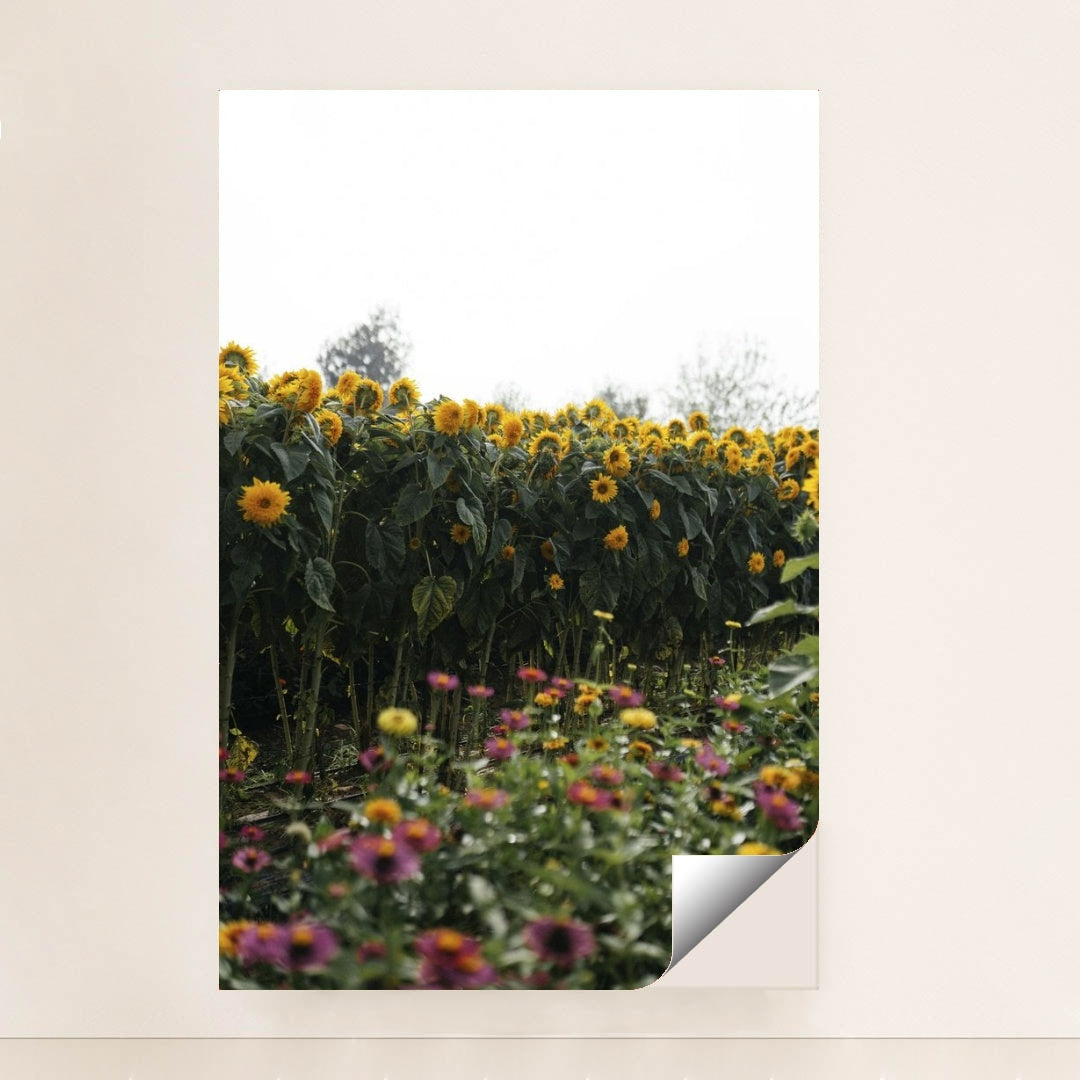 7090334826531 - Product Image