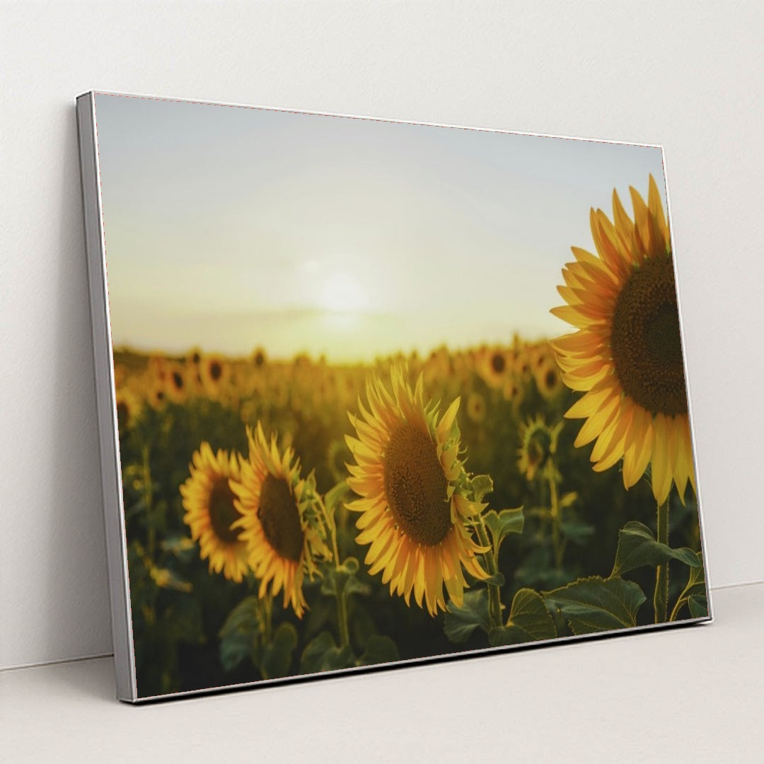 7090295767075 - Product Image