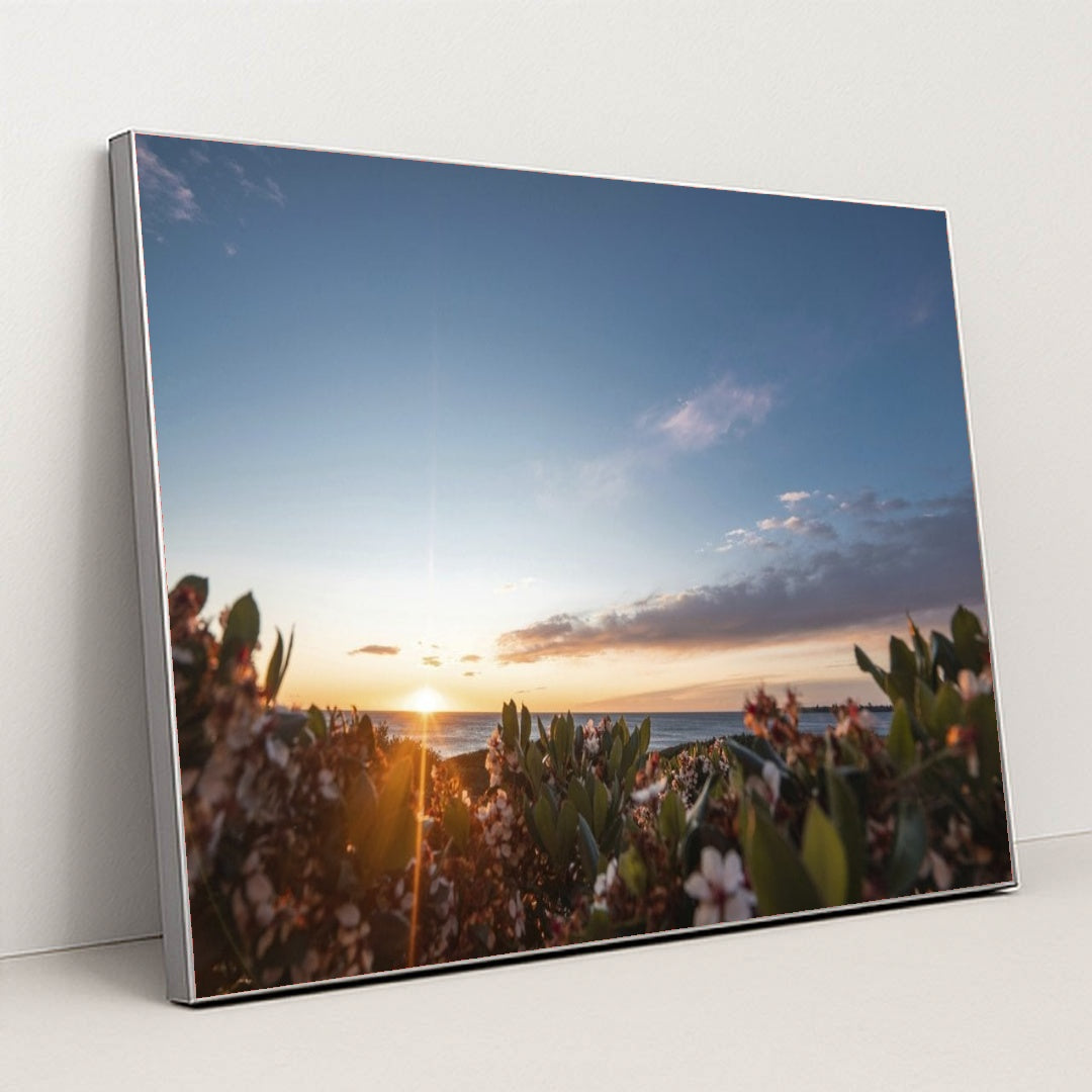 7090255986723 - Product Image