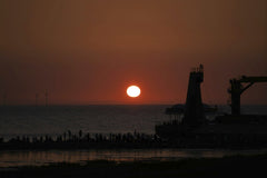 Roy - A vibrant sunset casts silhouettes over a harbor with wind turbines in view.