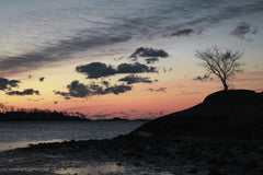 David Kanigan - A tranquil winter sunrise at Cove Island Park, Stamford, Connecticut, with a lone tree silhouette and bright sky hues.