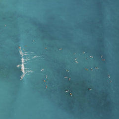 Jess Loiterton - Aerial view capturing surfers in the vibrant turquoise waters of Waikiki, Hawaii.