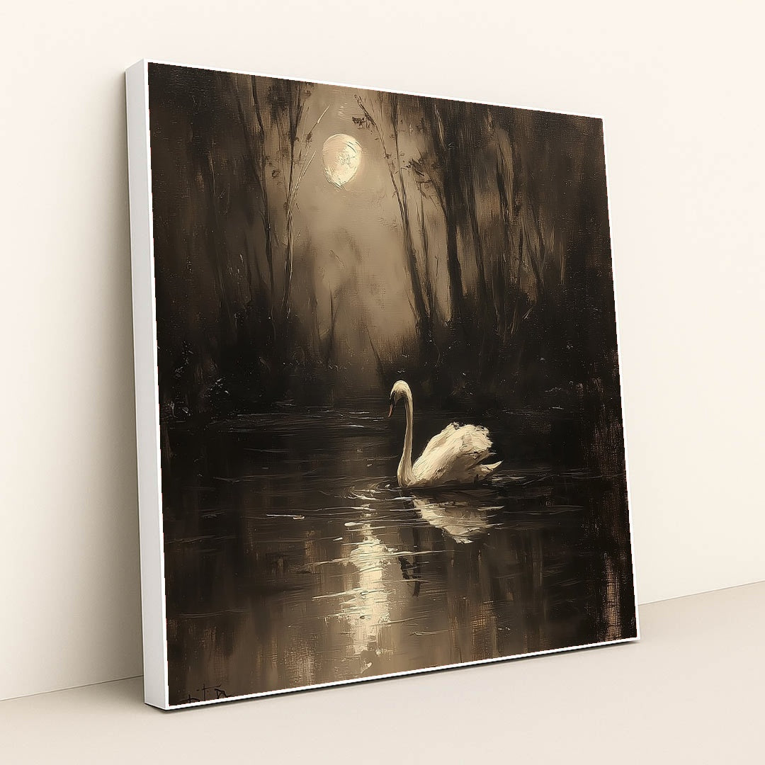 Swan's Nocturne by Seven Akins - White Frame Stretchiez