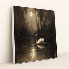 Swan's Nocturne by Seven Akins - White Frame Stretchiez