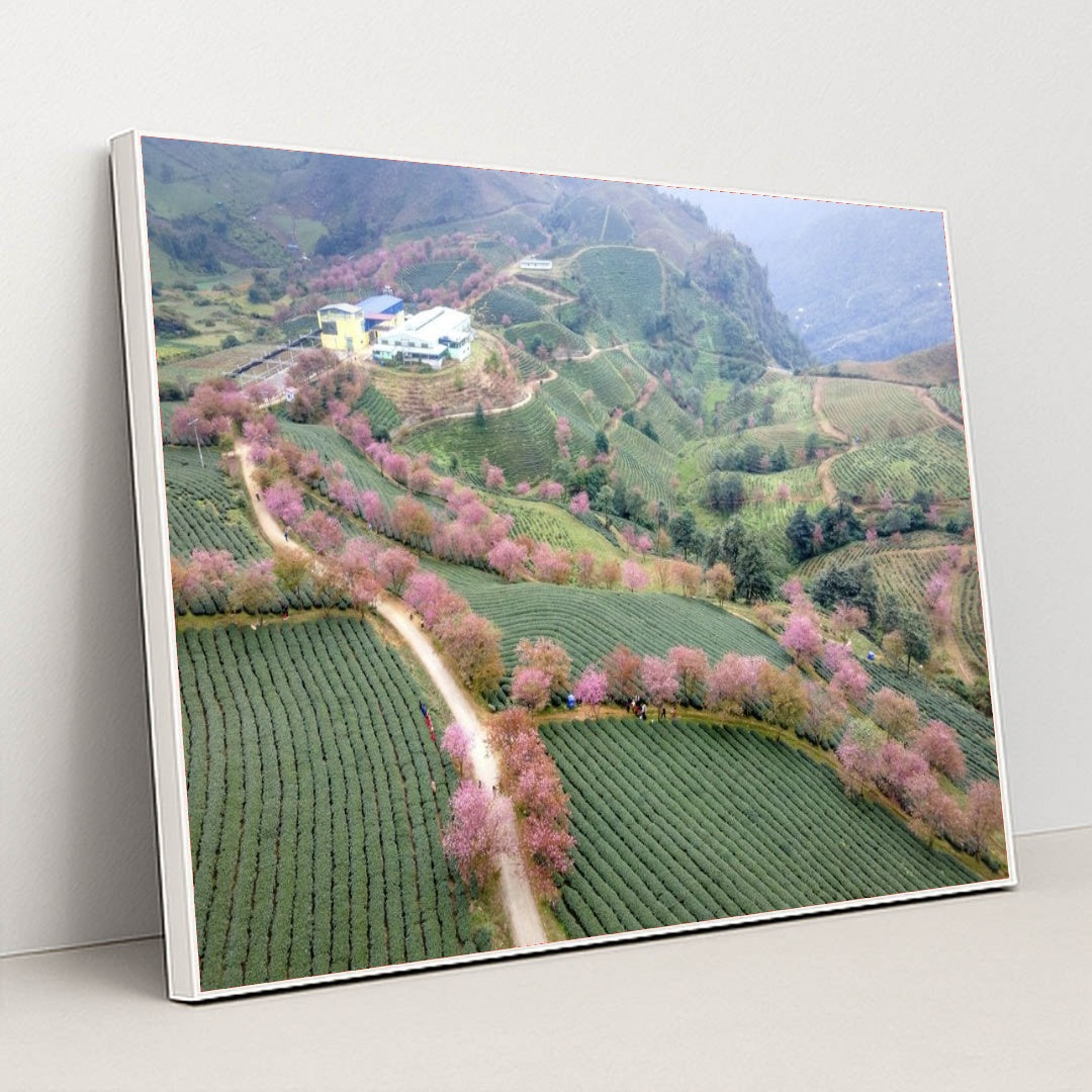 7090294128675 - Product Image