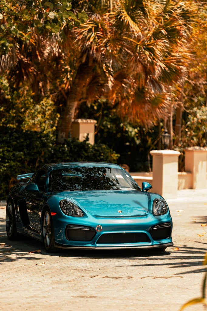 Porsche Cayman GT4 Among the Palms, a metallic teal car parked under tropical palms, showcasing luxury and performance.