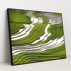 7090210930723 - Product Image