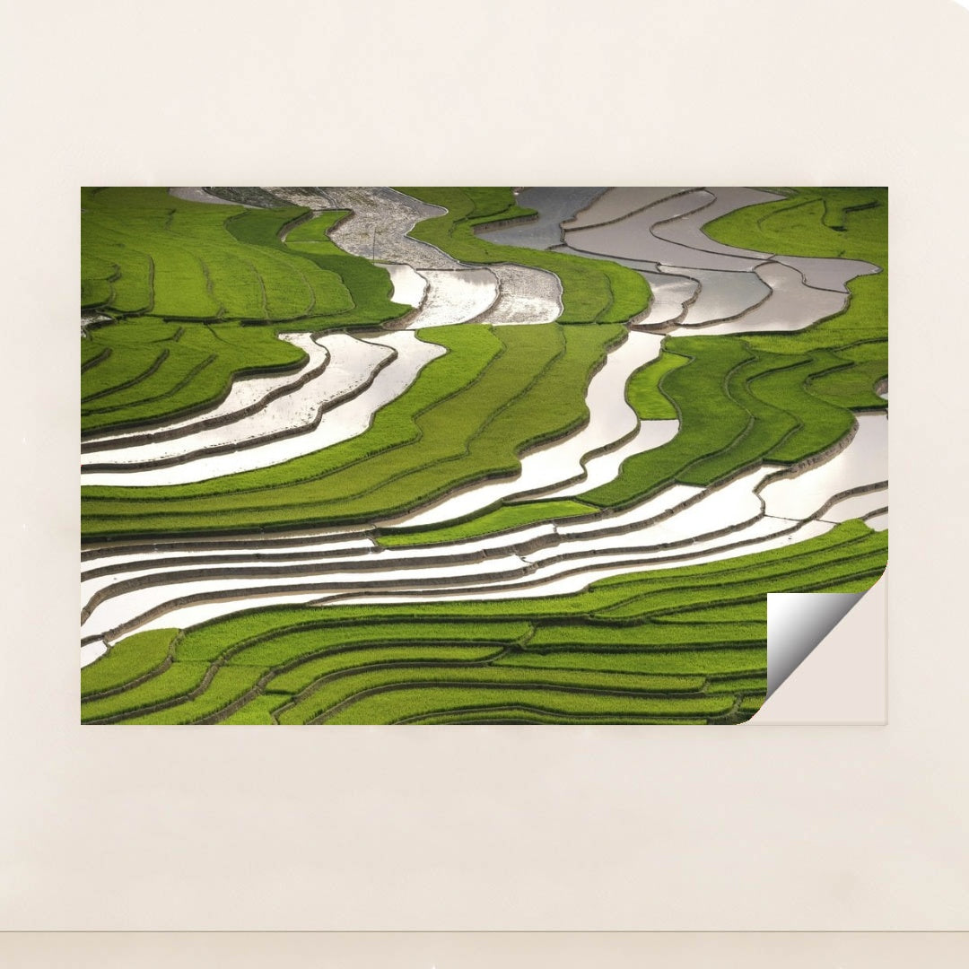 7090210930723 - Product Image