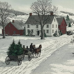The Christmas Tree Run by James Green