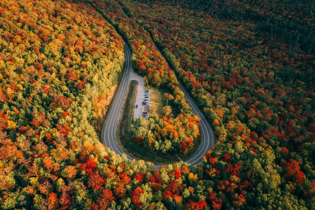 The Horseshoe by Martin Sanchez