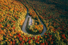 The Horseshoe by Martin Sanchez
