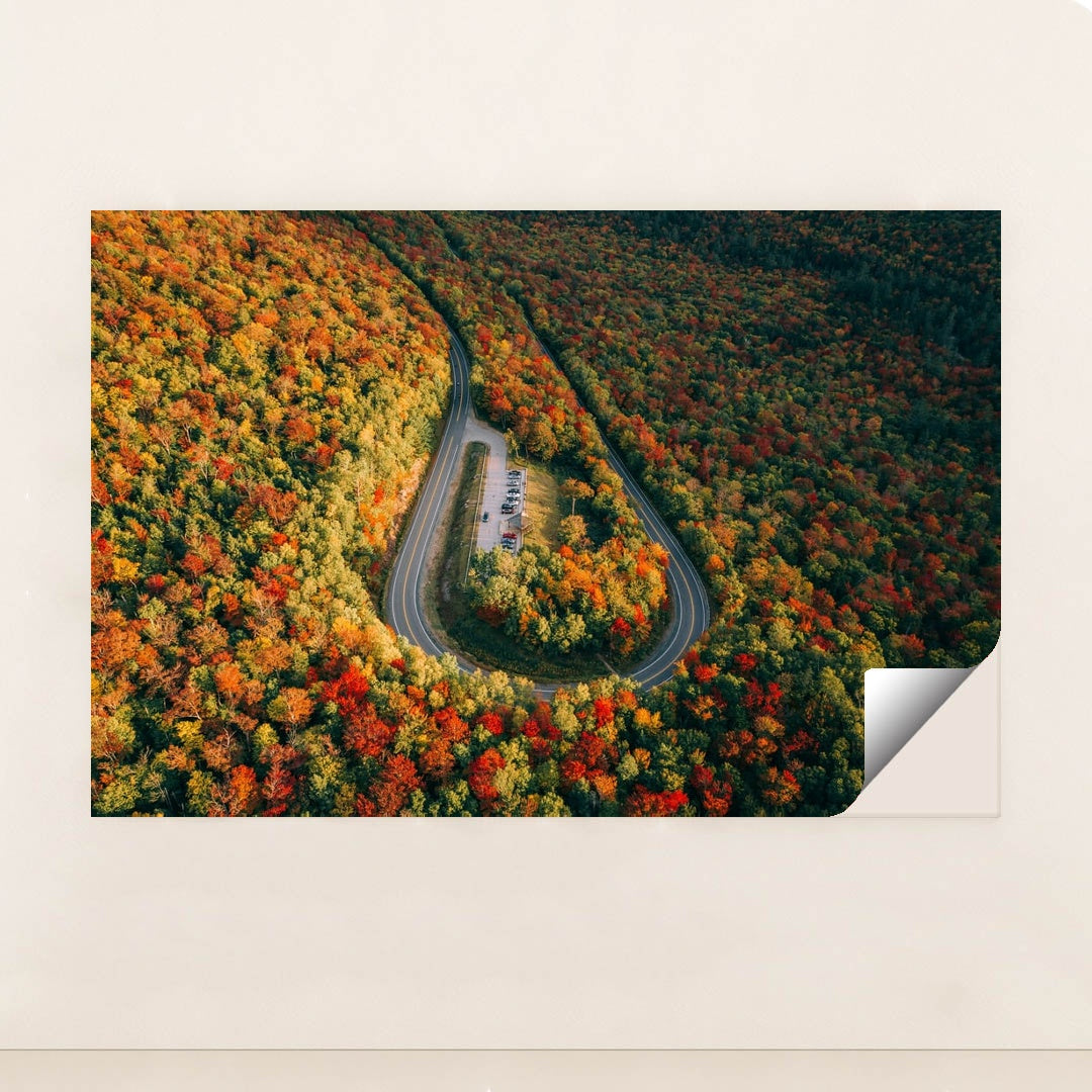 The Horseshoe by Martin Sanchez - Peeliez