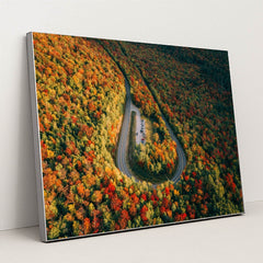 The Horseshoe by Martin Sanchez - Silver Frame Stretchiez