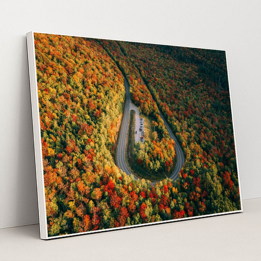 The Horseshoe by Martin Sanchez - White Frame Stretchiez
