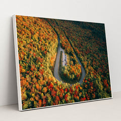 The Horseshoe by Martin Sanchez - White Frame Stretchiez
