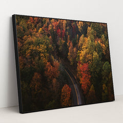 The Long Way Home by Chad Madden - Black Frame Stretchiez