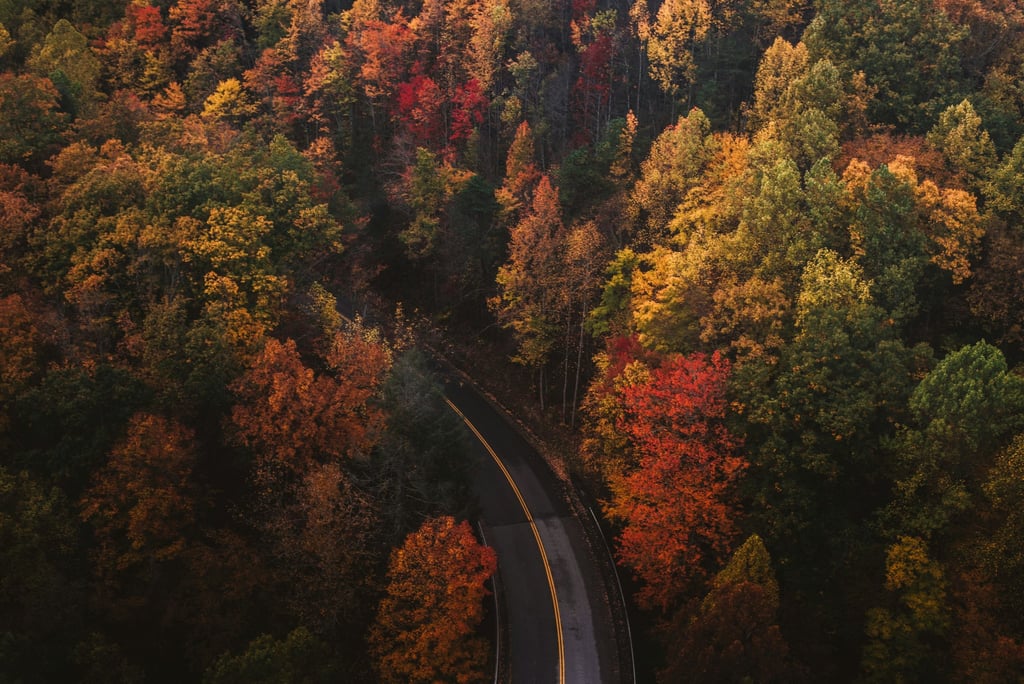 The Long Way Home by Chad Madden