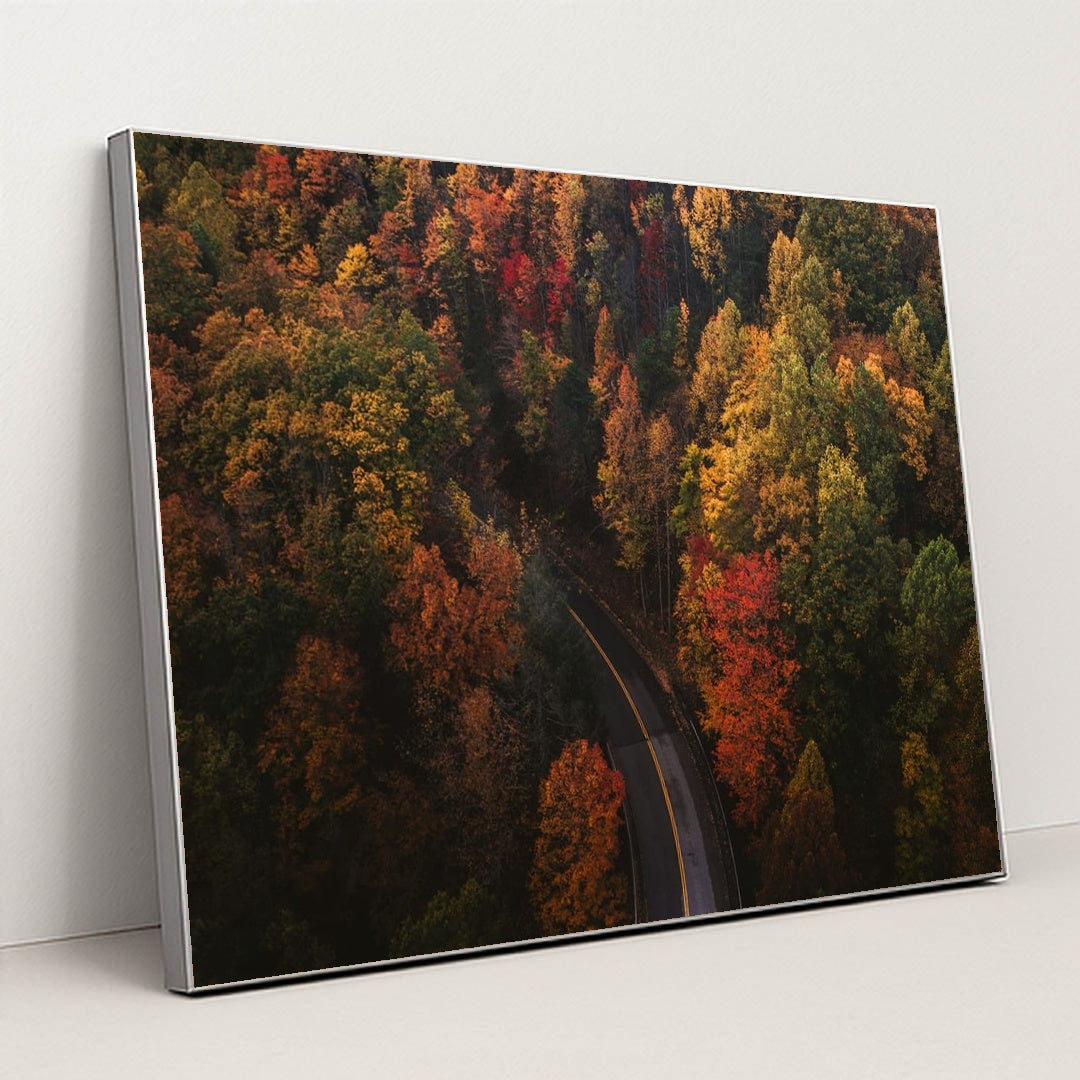 The Long Way Home by Chad Madden - Silver Frame Stretchiez