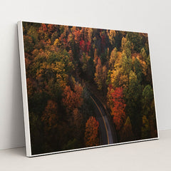The Long Way Home by Chad Madden - White Frame Stretchiez