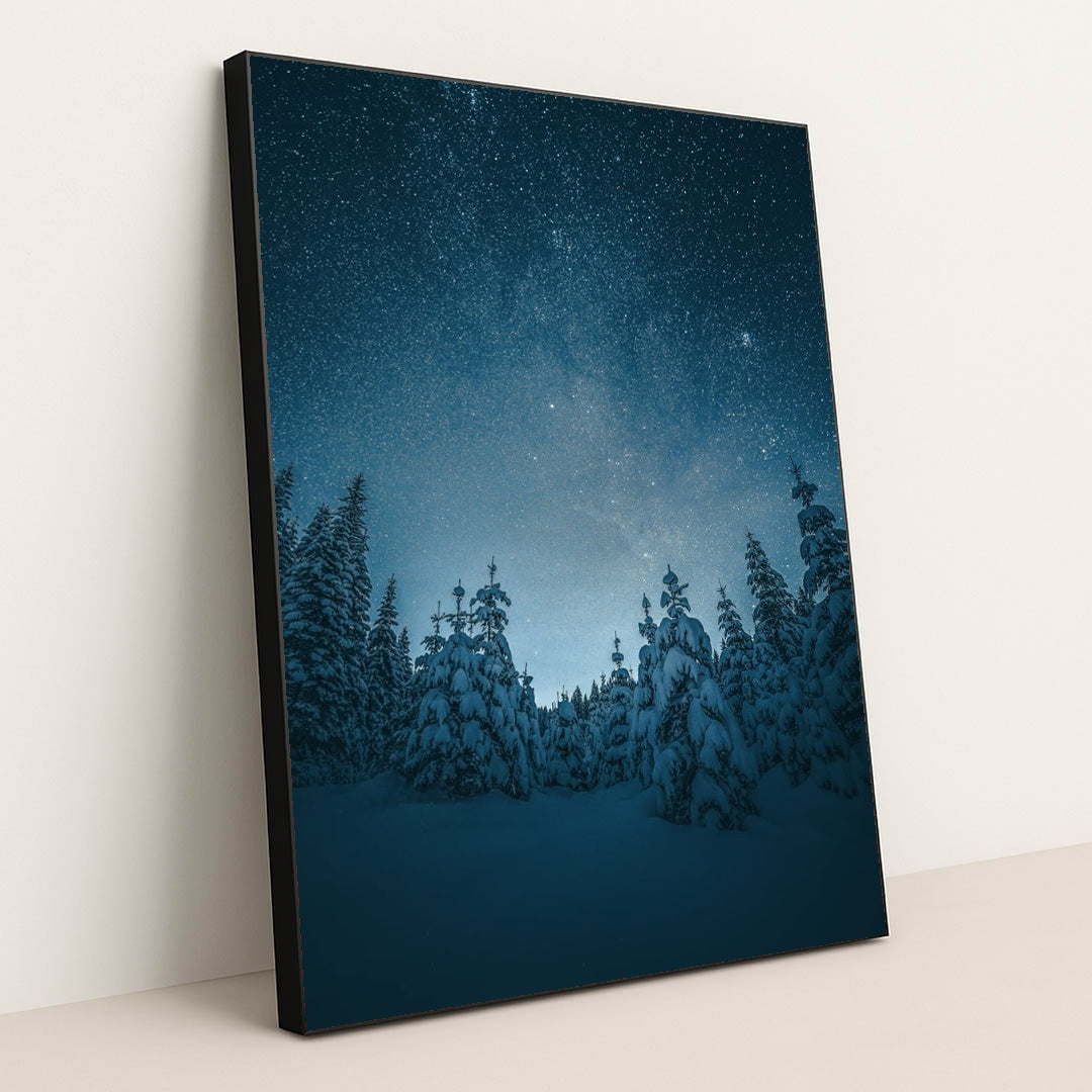 The Night the Trees Looked Up by Ales Krivec - Black Frame Stretchiez
