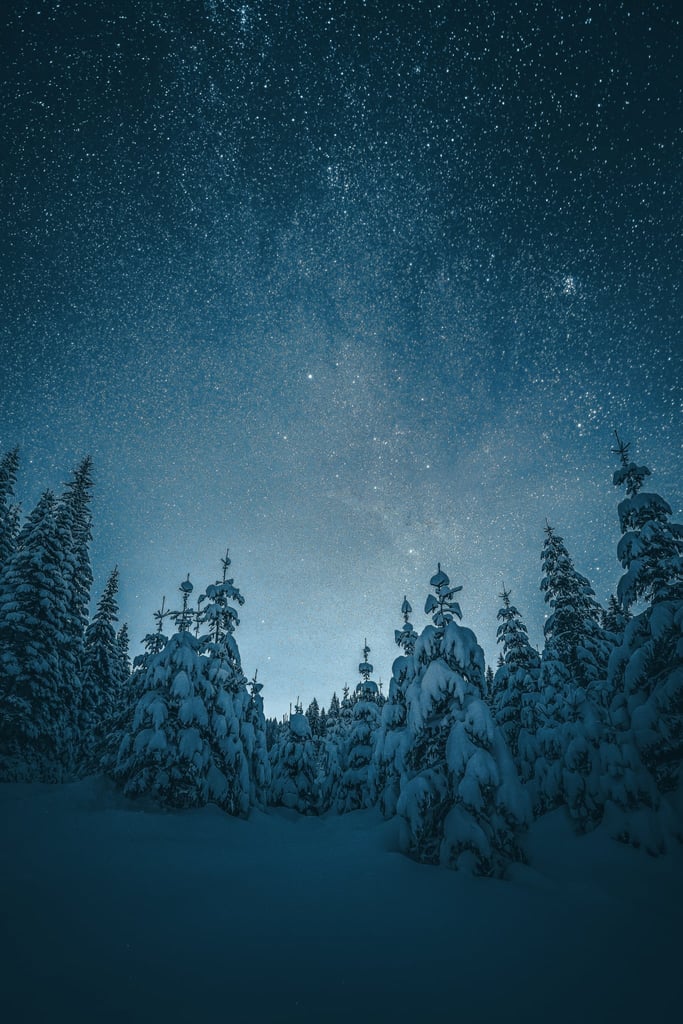 The Night the Trees Looked Up by Ales Krivec
