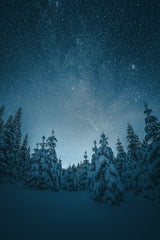 The Night the Trees Looked Up by Ales Krivec