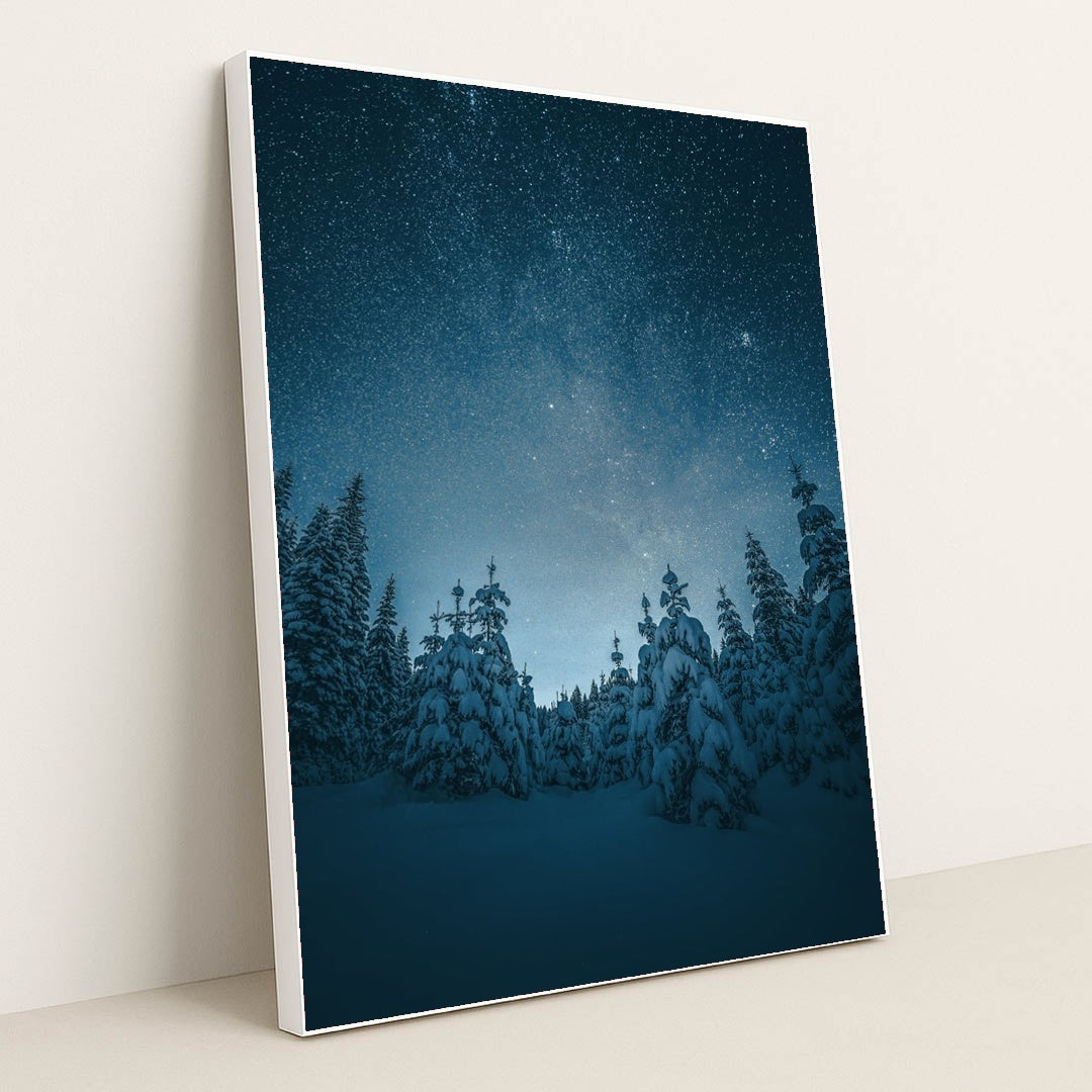 The Night the Trees Looked Up by Ales Krivec - White Frame Stretchiez