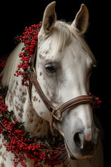 The Red Adornment by Jessica A