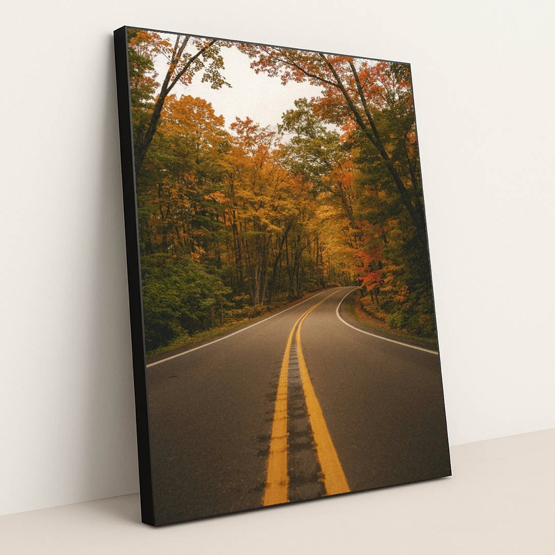 The Road to Autumn by Hans - Black Frame Stretchiez