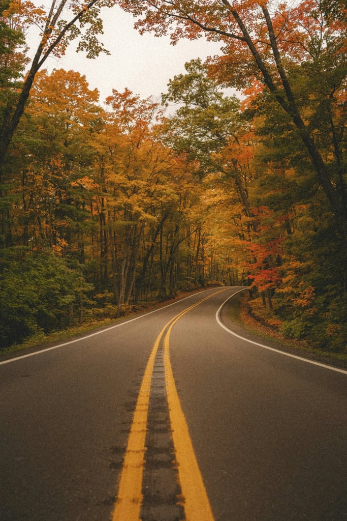 The Road to Autumn by Hans
