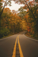 The Road to Autumn by Hans