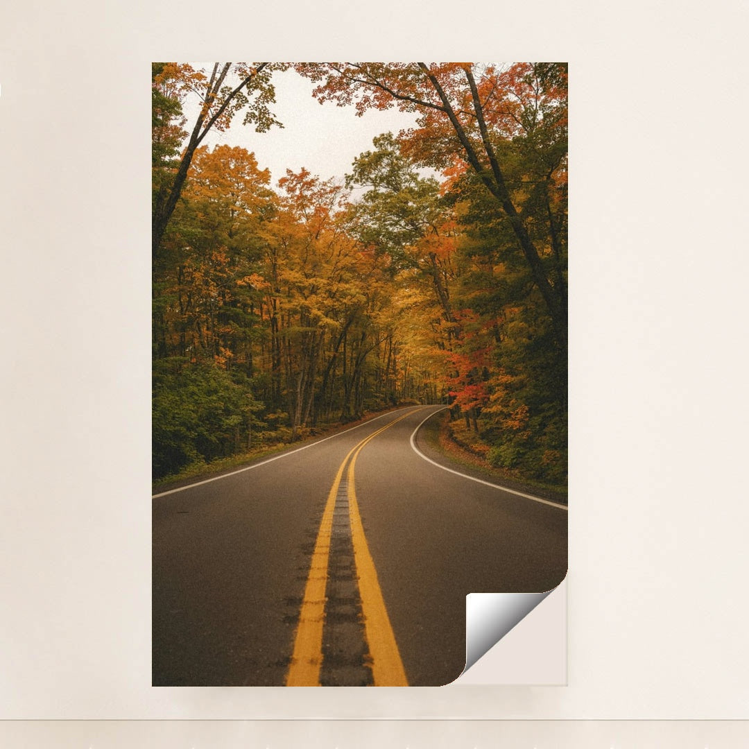 The Road to Autumn by Hans - Peeliez