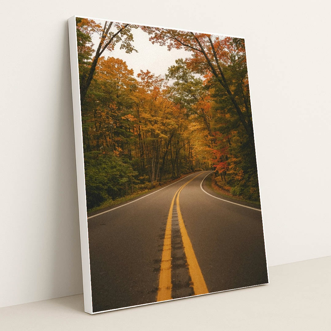 The Road to Autumn by Hans - White Frame Stretchiez