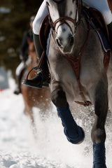 The Winter Gallop by Jessica A