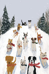The Winter Race by Anna Stone